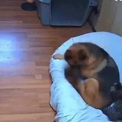 Get a load of this jerk