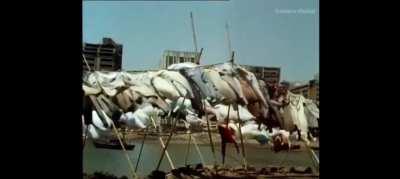 1984 - Upper Class Mentality remains the same