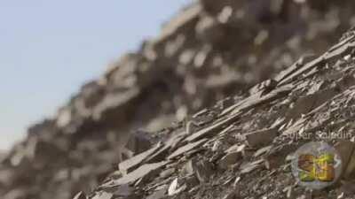 Esse pinto é muito foda