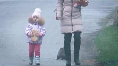 HitCat in Full Defense Mode