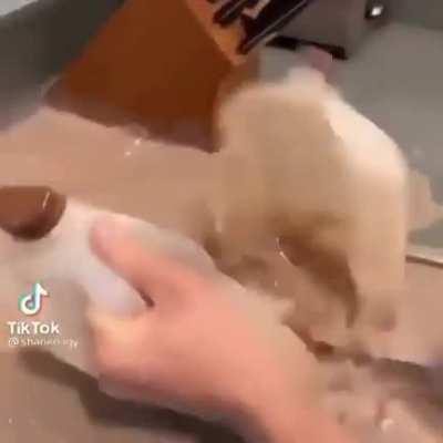 haha he thought it was cake