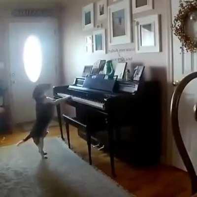 Music is best when it comes from the heart.