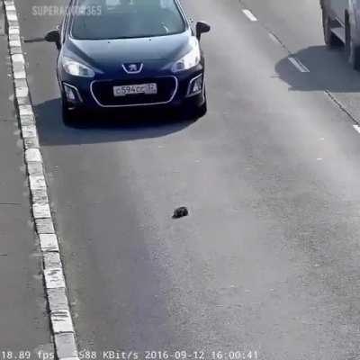 esse video me deixou com fé na humanidade ❤