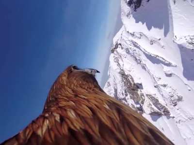 🔥POV: flying over mountains on the back of an Eagle