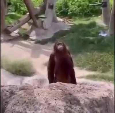 The Destiny community demanding Bungie once again lower the effort needed to earn.... anything!