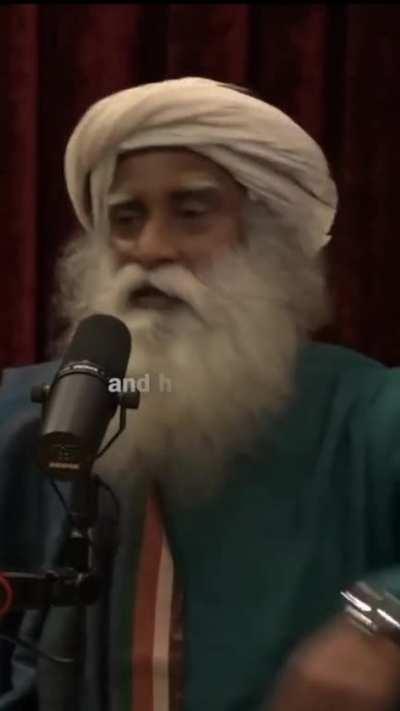 On a Certain day a Yogi' comes to Joe Rogan's Show