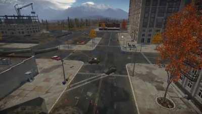 Pizza delivery gone wrong