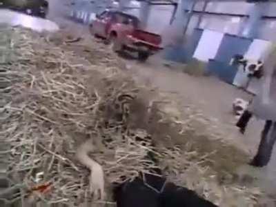 Trish gives daddy's little girl a messy treatment