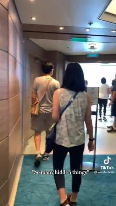 Well, fuck that. I was about to buy a cruise ticket. 3 hours for ART and have to book everything else INSIDE the cruise ship? Yeah. Fuck that. Not my idea for an enjoyable vacay.