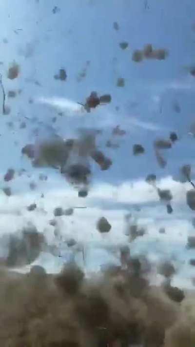 🔥 Name this tornado