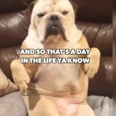 Bitch ass trash can.