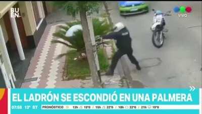 El as del camouflage