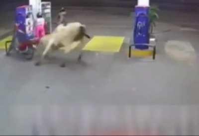 Not Today Death! No, Not Today!