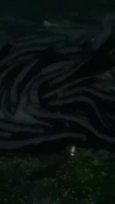 Real life Water Devil