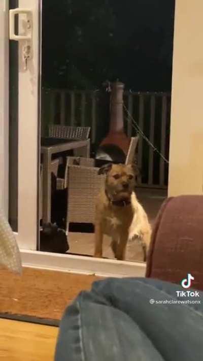 Not sure if this counts...