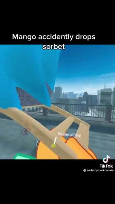 Mango accidentally YEETS Sorbet*