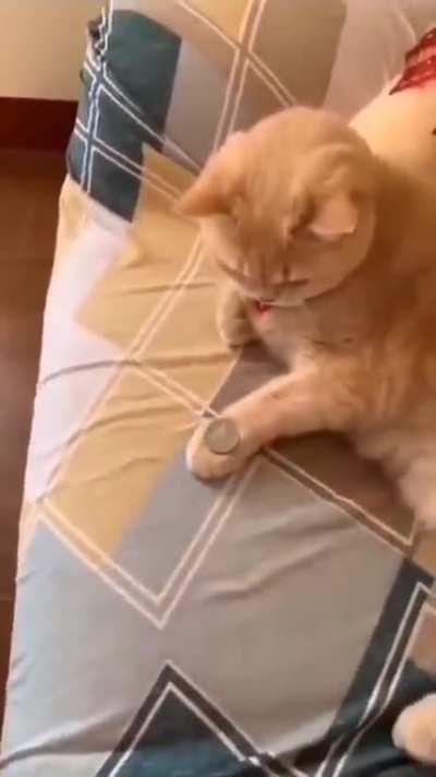 That's the trick! Ok?