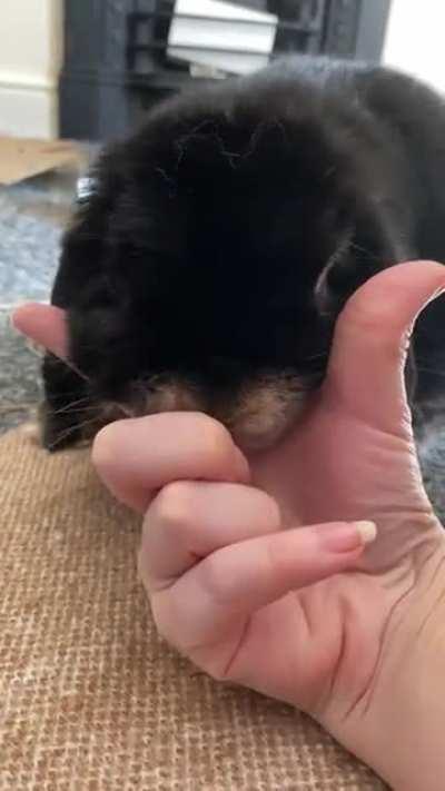 Only a couple years later I'm able to do the head+hand placement trend 😅❤️