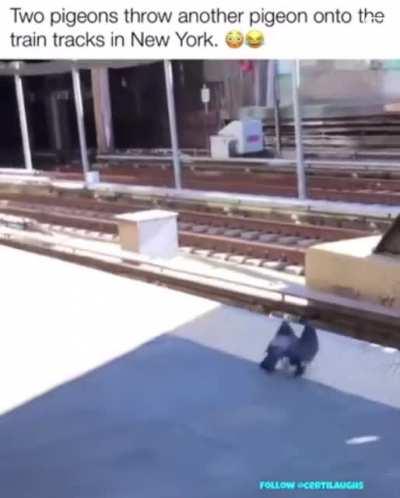 That drone could have been worth something