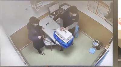 the music matched the scene perfectly lmao