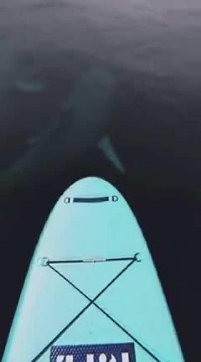 OH HELL NO IM NOT SLEEPING TONIGHT