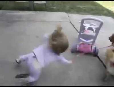 WCGW if my dog weighs twice as much as me