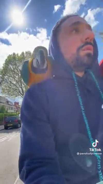 Parrots on a bike 🐦