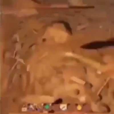 little spider: A😳