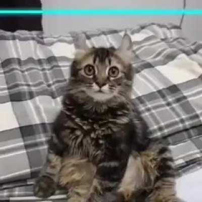 Mi primer aporte ☝️😳