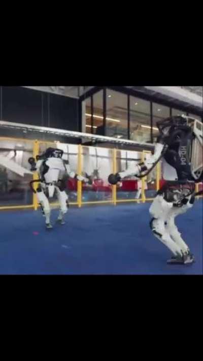 Boston Dynamics’ Dogs Getting Sturdy