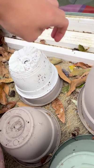 Not sure how this happened