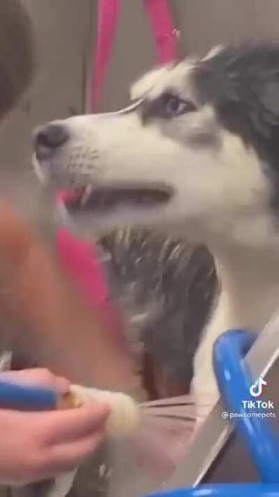 NHAAAAAAAAAAAAAAAAAAAAHHH