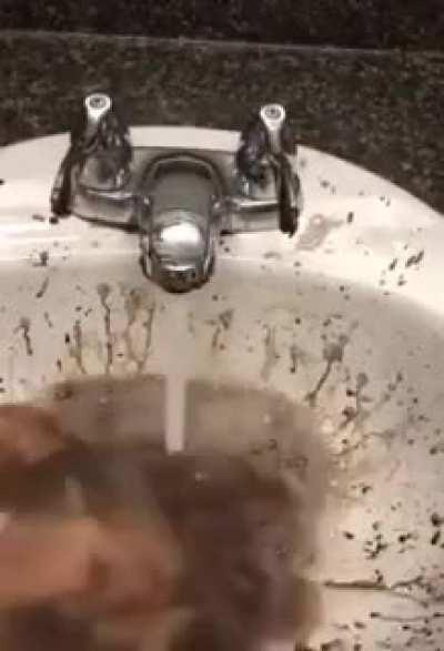 What the fuck is happening