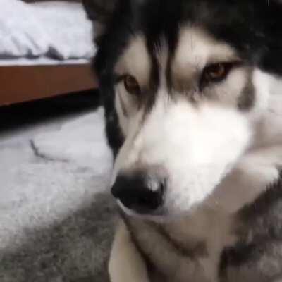 His English skills are great