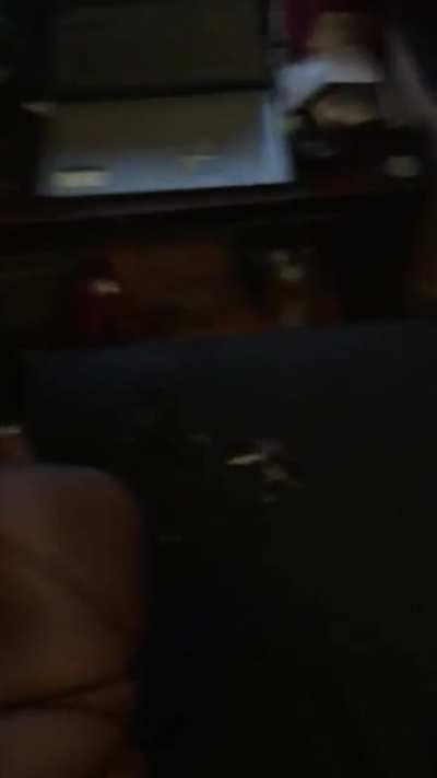 DC joint Dark Thikk Bytch