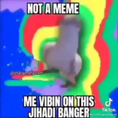 Not a meme