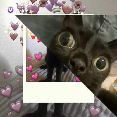 big foot jinx my beloved