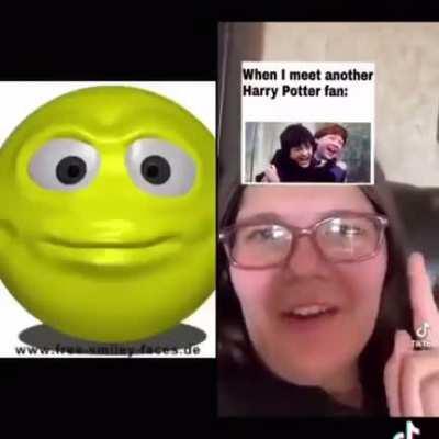 Calling all Harry Potter fans!!1!