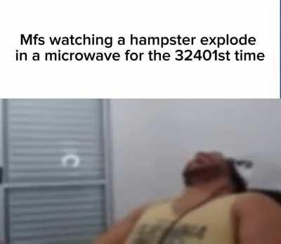 Had a dream where a new meme came around where everybody put their hampsters in their microwaves and watched them explode and everyone thought it was the funniest thing ever