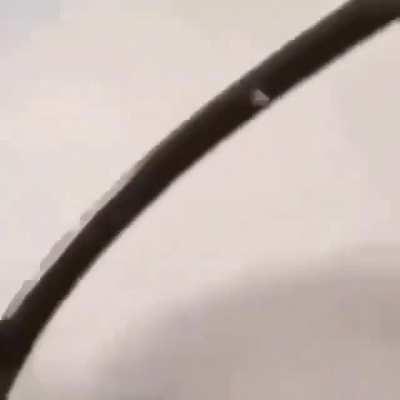 Ahhhahhahahaheme buenardo