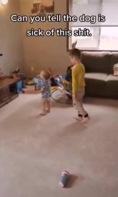 Dog has had enough toddler energy for today... or maybe a lifetime.