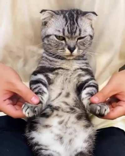 EviL MaN tUrNs CaT iNtO a BrEaKdAnCiNg MaRiOnEtTe.