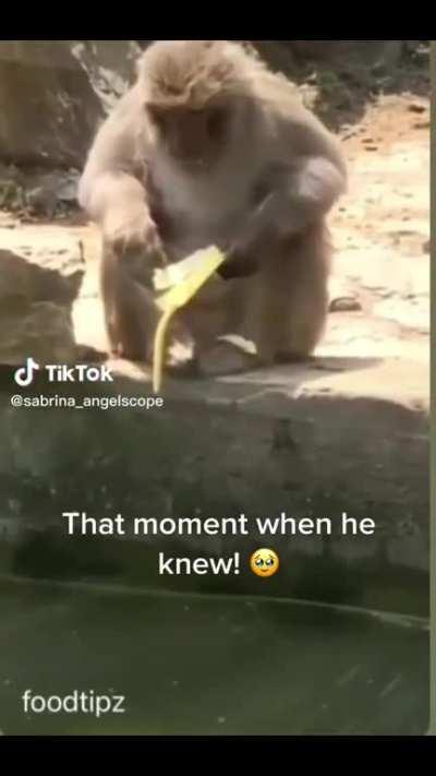 I guess lunch is canceled