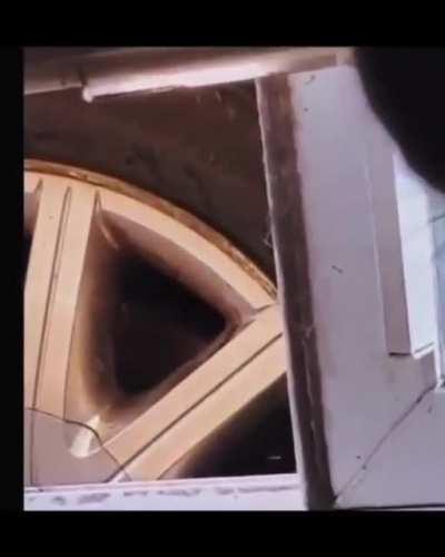 Cats can be too human