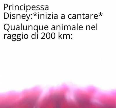 Lo metterò domani su Memesita