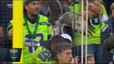 [Highlight] Hawk attacks a poor, defenceless Seahawks fan