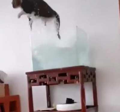 That's not a table...