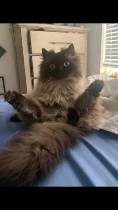 which one's your favorite?