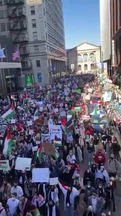 Chicago Marches for Palestinian Rights!