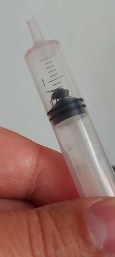 Would have been disgusting to see the outcome...